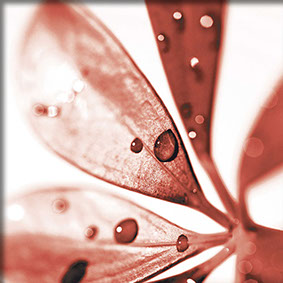 Hinweis auf klare und schöne Layouts von Pulls2