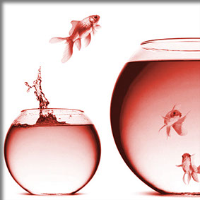 Hinweis auf Webdesign und Umsetzung bei Pulls2