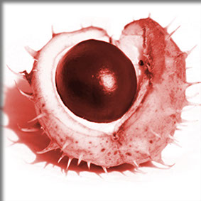 Hinweis auf innovative Werbemittel von Pulls2